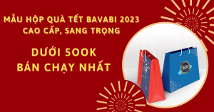 Mẫu hộp quà Tết BAVABI 2023 cao cấp, sang trọng dưới 5OOK bán chạy nhất